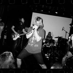 Horse the Band